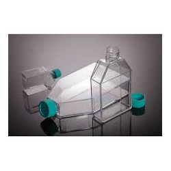 فلاسک فیلتردار کشت سلول استریل TC Flask 175cm2