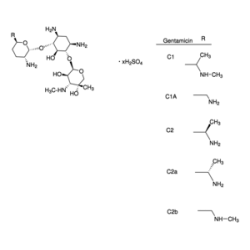 جنتاماسین Gentamicin -Lösung 10cc G1397