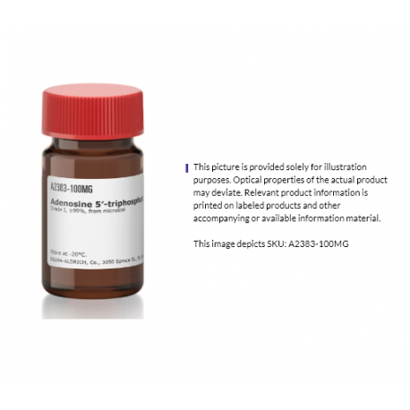 ادنوسین 5 تری پلی فسفات دی سدیم سالت Adenosine 5 triphosphate disodium salt hydrate A2383