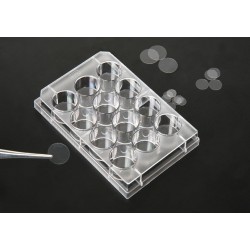 Coverslips Fits into 6 Wells Dimension 25mm Sterile 20025