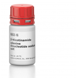 بتانیکوینامید ادنین β-Nicotinamide adenine dinucleotide sodium salt sigma N0632