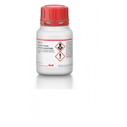 تریبسین از پروسین پانکراس Trypsin from porcine pancreas T0303 sigma