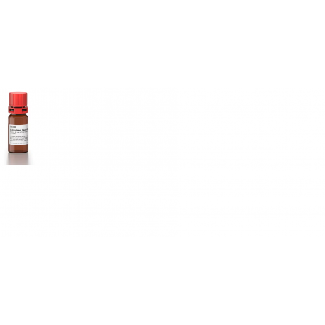 الفا امیلاز α-Amylase, heat-stable sigma A3306