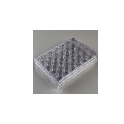 پلیت کشت سلول استریل 24Testplate Wells