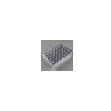 پلیت کشت سلول استریل 24Testplate Wells