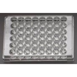 پلیت کشت سلول استریل 48Testplate U Wells