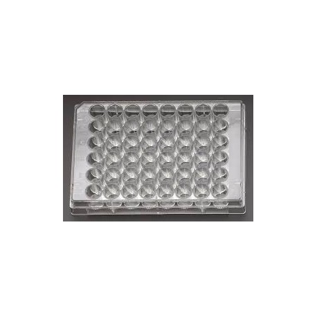 پلیت کشت سلول استریل 48Testplate U Wells
