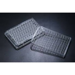 پلیت کشت سلول استریل 96Testplate Wells