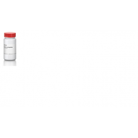 گلاسین Glycine anhydride sigma G7251