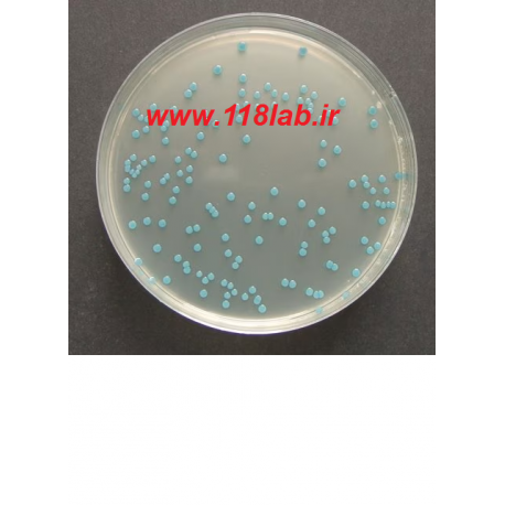 لیستریا سلکتیو اگار Listeria selective agar 100427 MERCK