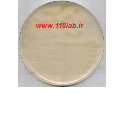 ار توی اگار R2A Agar 100416 MERCK