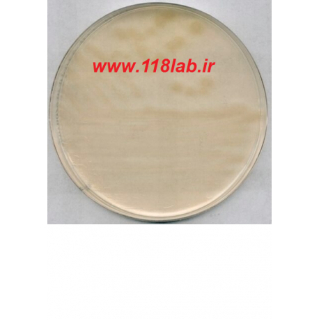 ار توی اگار R2A Agar 100416 MERCK