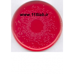 برلیان گرین بایل اگار BPLS Merck 110747 Brilliant-green phenol-red lactose sucrose agar