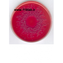 مکانکی اگار MacConkey (MAC) Agar 100205 MERCK