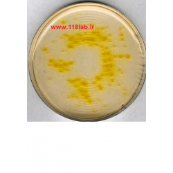 سترماید اگار Cetrimide agar MERCK 110493