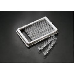 پلیت الایزا Wells 96 Strip