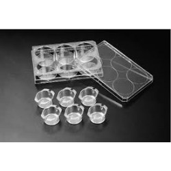 CultureInsert 6 Well 24mm  0.4 Um Pore PCCell Opeaque