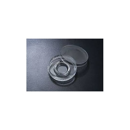 دیش Dish 60mm IVF