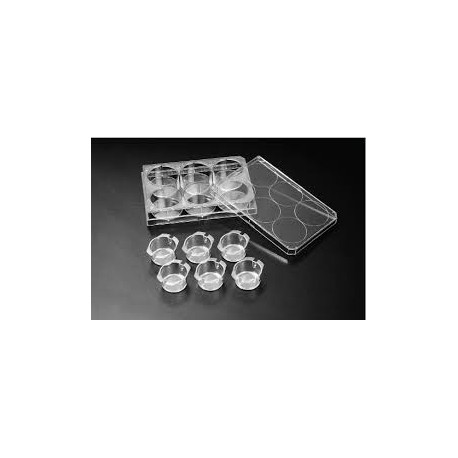 CultureInsert 6 Well 24mm  0.40 Um Pore PETCell Opeaque