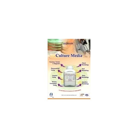 Anacker & Oradals Medium