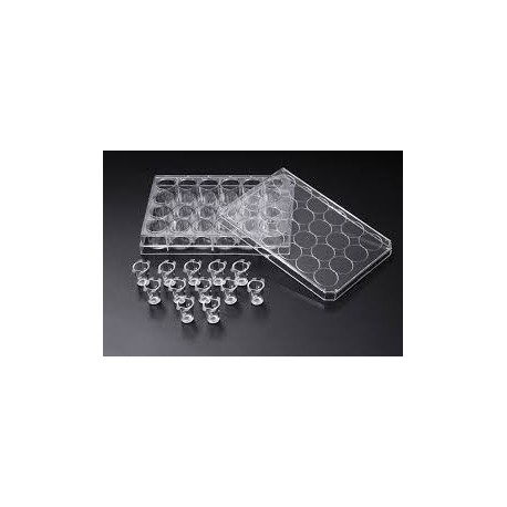 CultureInsert 24 Well 6/50mm  0.40 Um Pore PETCell Transparent