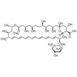 Amphotericin B from Streptomyces sp. ~80% (HPLC), powder