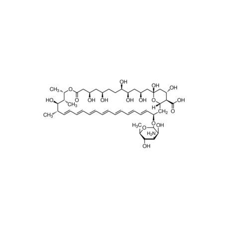 Amphotericin B from Streptomyces sp. ~80% (HPLC), powder