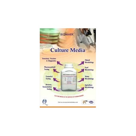 ام اف سی براس MFC Broth biomark