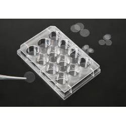 Coverslips Fits into 24 Wells Dimension 12mm Sterile