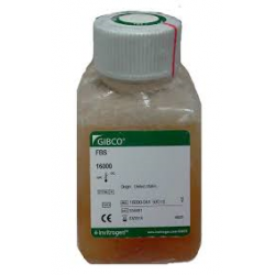 Fetal Bovine Serum   FBS