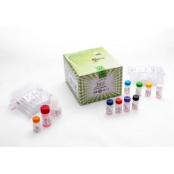 کیت  تی فور 4  T4 KIT  PGI