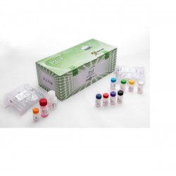 کیت  تی فور 3  T3  KIT  PGI