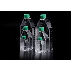 فلاسک ساده کشت سلول استریل TC Flask 25cm2