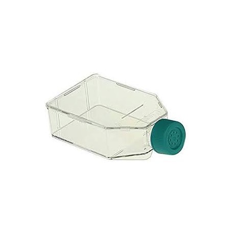 فلاسک فیلتردار کشت سلول استریل  TC Flask 25cm2