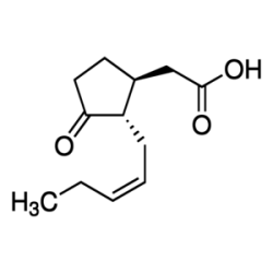 جاسمونیک اسید Jasmonic acid SIGMA 14631