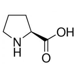 ال پیرولین L - Proline SIGMA  P5607