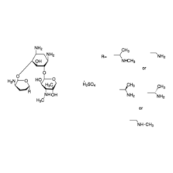 جنتاماسین سولفات Gentamicin sulfate salt sigma G1265