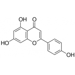اپاگنین Apigenin SIGMA 42251