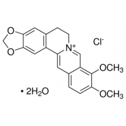 بربرین کلراید فرام Berberine chloride form  SIGMA B3251