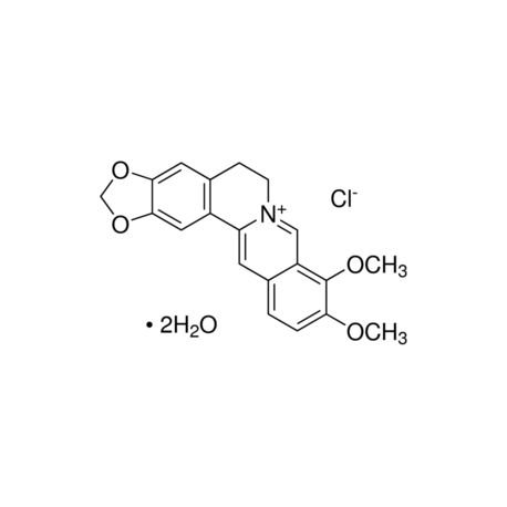 بربرین کلراید فرام Berberine chloride form  SIGMA B3251