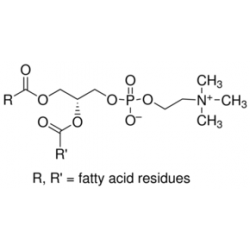 L-α-Phosphatidylcholine sigma p3644 ال الفا فسفاتیلیدی کولین