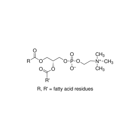 L-α-Phosphatidylcholine sigma p3644 ال الفا فسفاتیلیدی کولین