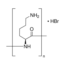 Poly-L-lysine hydrobromide sigma p6282 پلی ال لازین