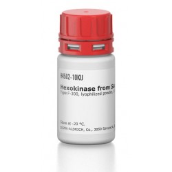 هگزاوکیناز فرام ساچارمایسین Hexokinase from Saccharomyces cerevisiae sigma H4502